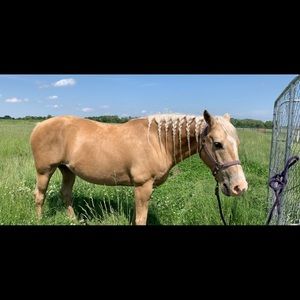 Meet your Posher, Abby